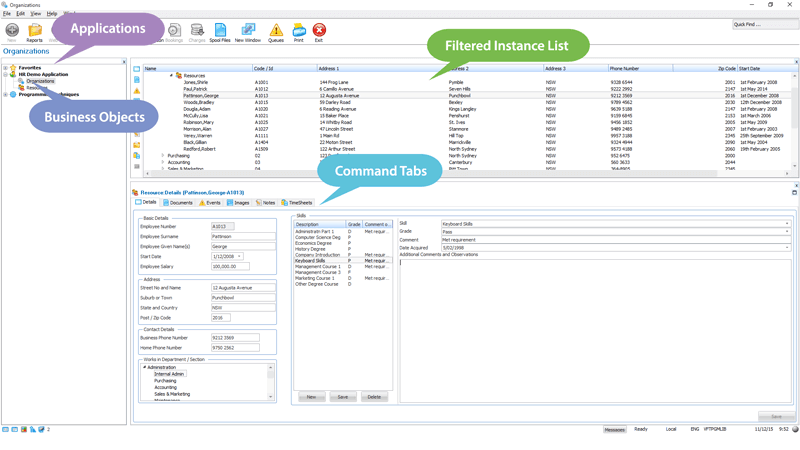 Visual LANSA Framework Example Screen